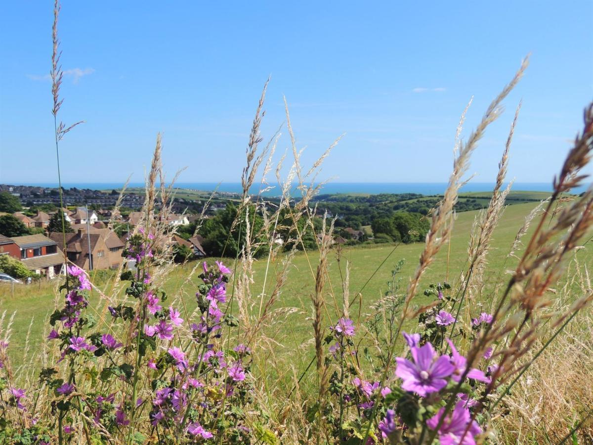 Downs Hotel Stanmer 외부 사진
